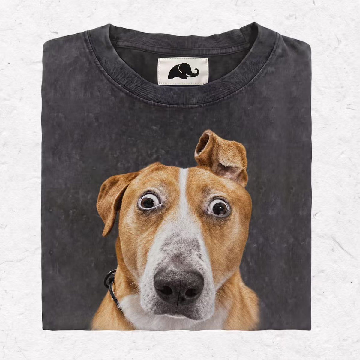 SHOCK DOG HOOD＆ SWEAT＆TEE