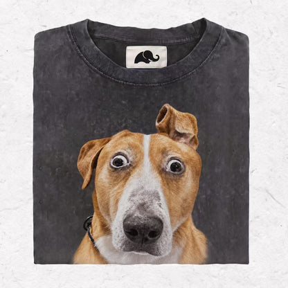 SHOCK DOG HOOD＆ SWEAT＆TEE
