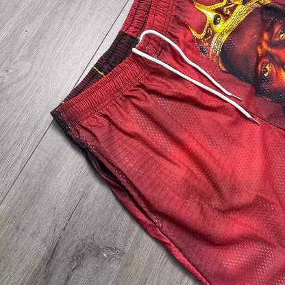 BIGGIE MESH SHORTS-8740