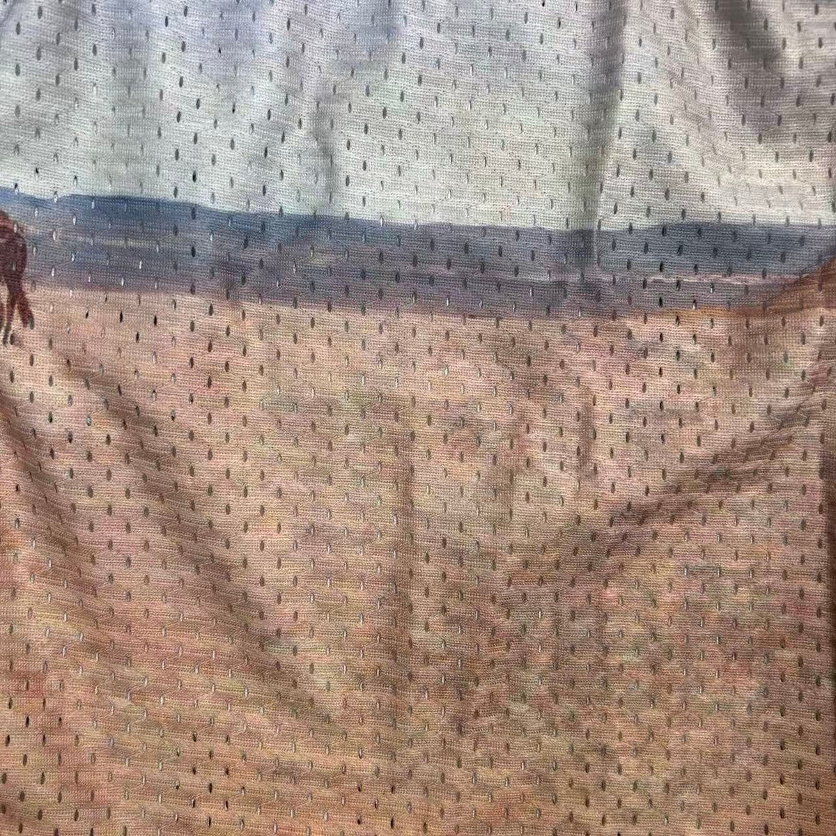 BUCK JUMPER MESH SHORTS-8741