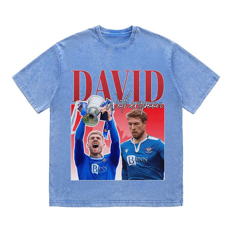 DAVID HEAVY WEIGHT COTTON TEE-8954