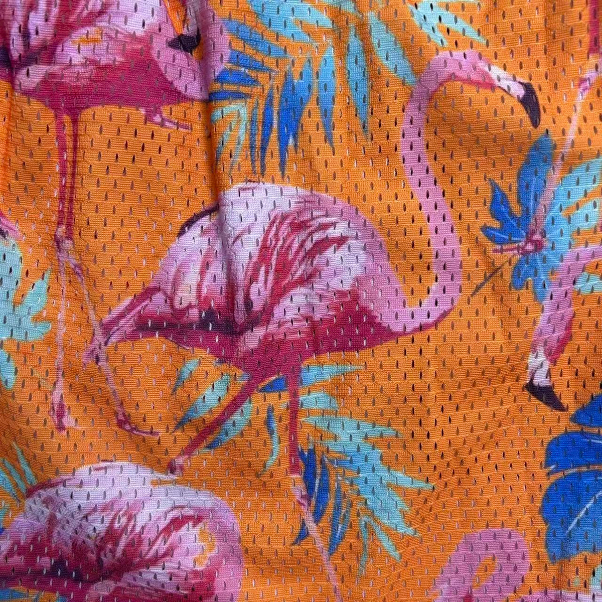 FLAMINGO MESH SHORTS-8746