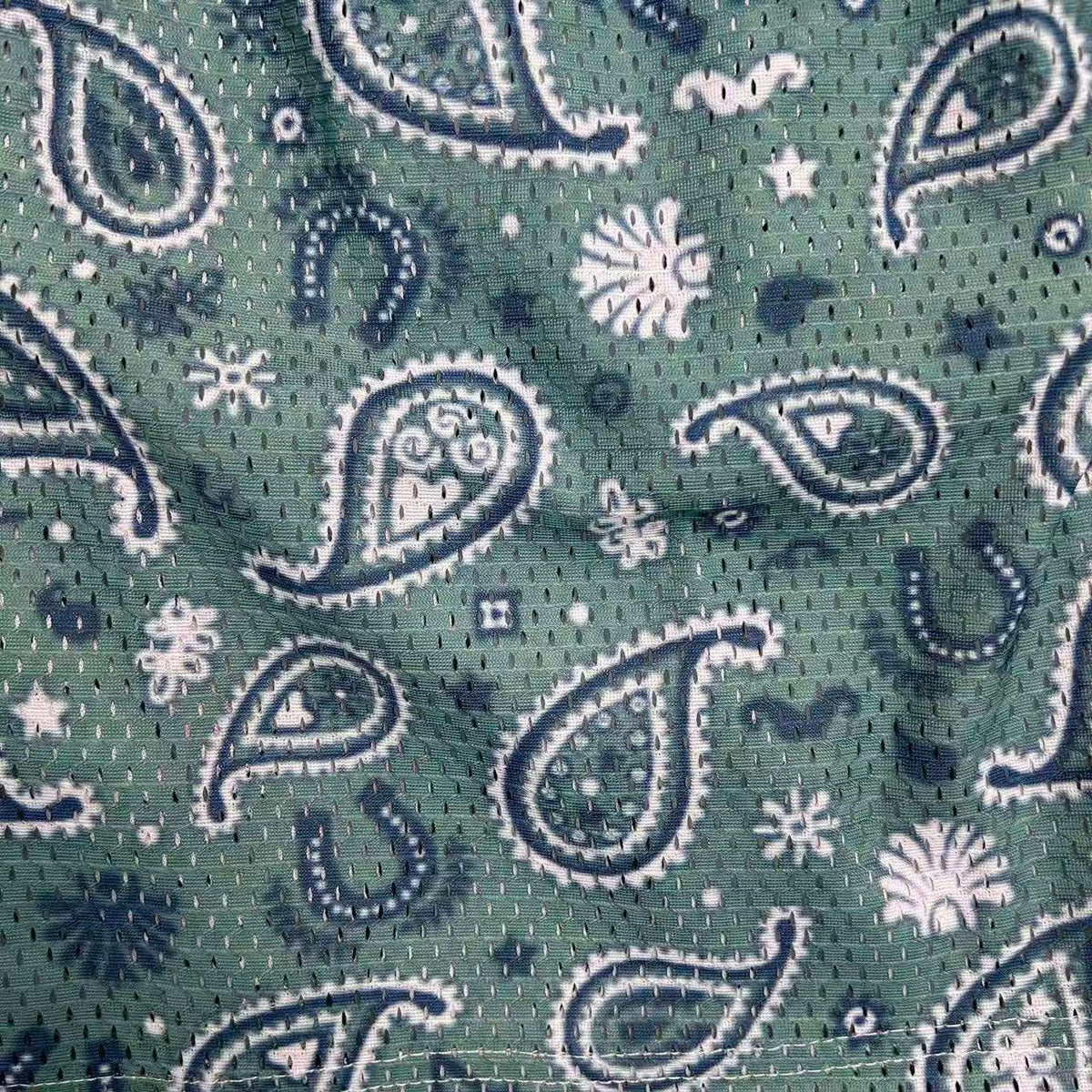 PAISLEY V2 MESH SHORTS-8798