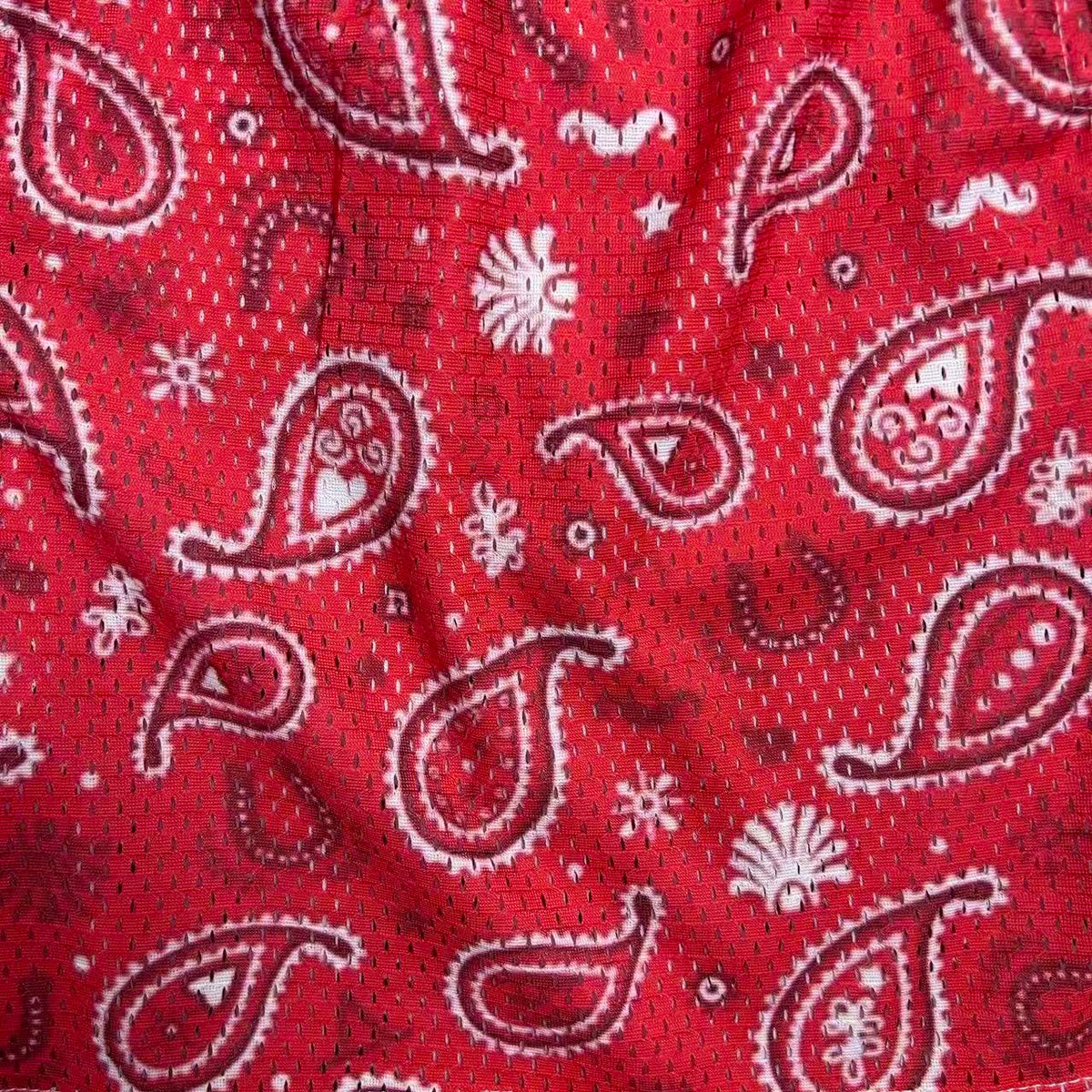 RED PAISLEY MESH SHORTS-8804