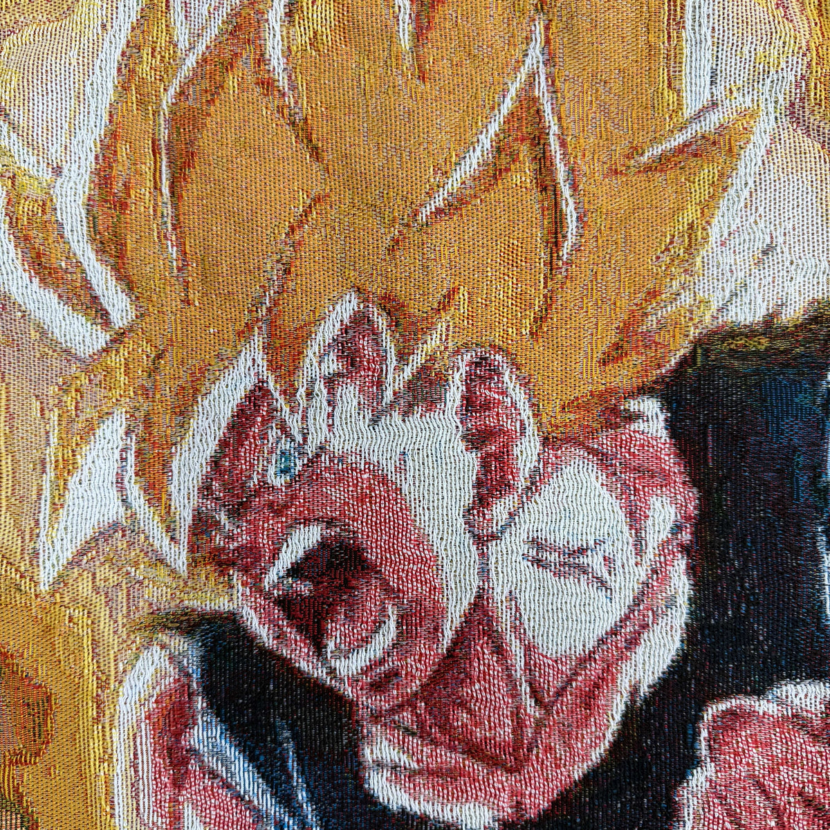 SAIYAN TAPESTRY JACKET