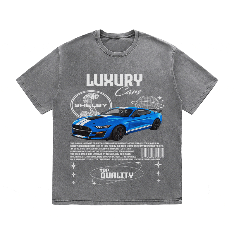 SHELBY HEAVY WEIGHT COTTON TEE-9111