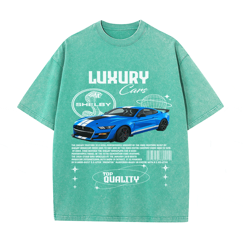 SHELBY HEAVY WEIGHT COTTON TEE-9111