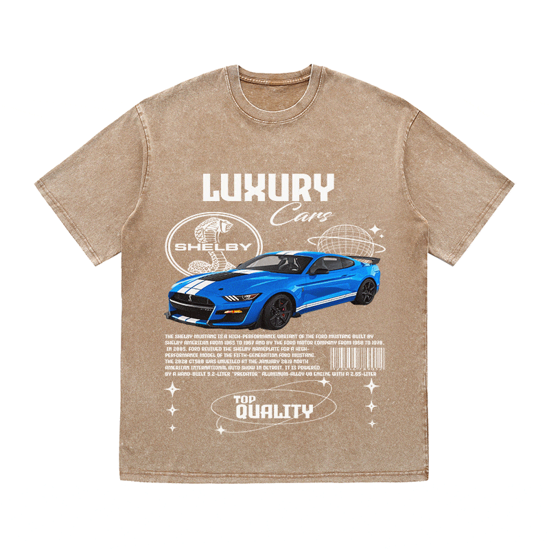 SHELBY HEAVY WEIGHT COTTON TEE-9111