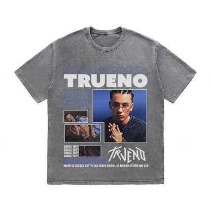 TRUENOA HEAVY WEIGHT COTTON TEE-9026